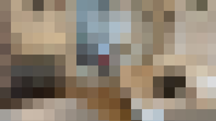 / #20