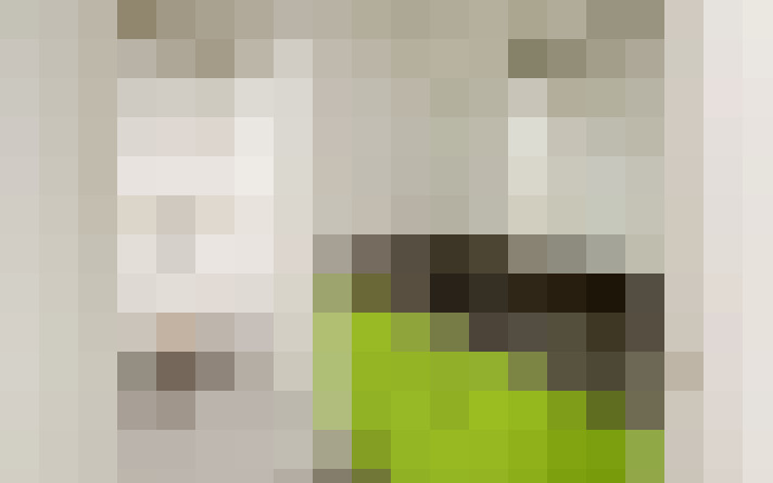 / #15