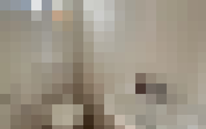  / #17