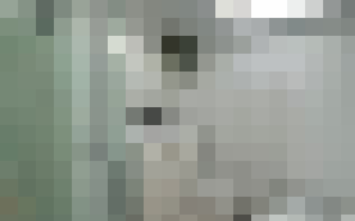  / #15