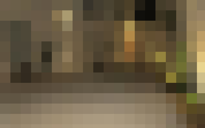  / #11