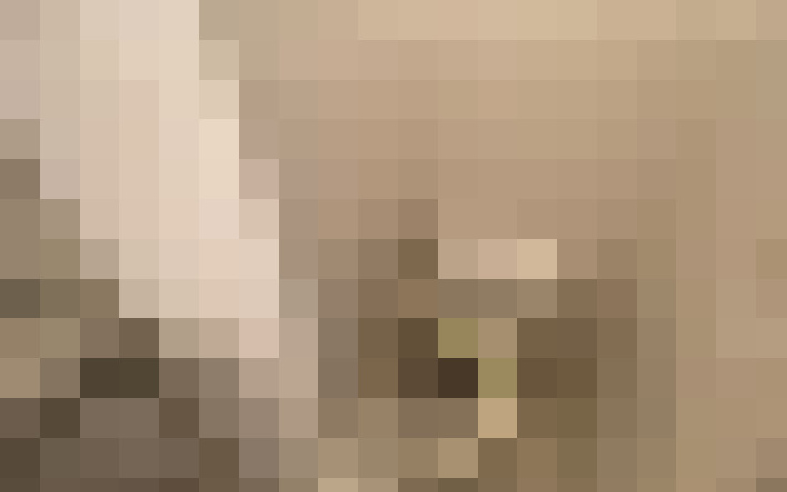  / #15