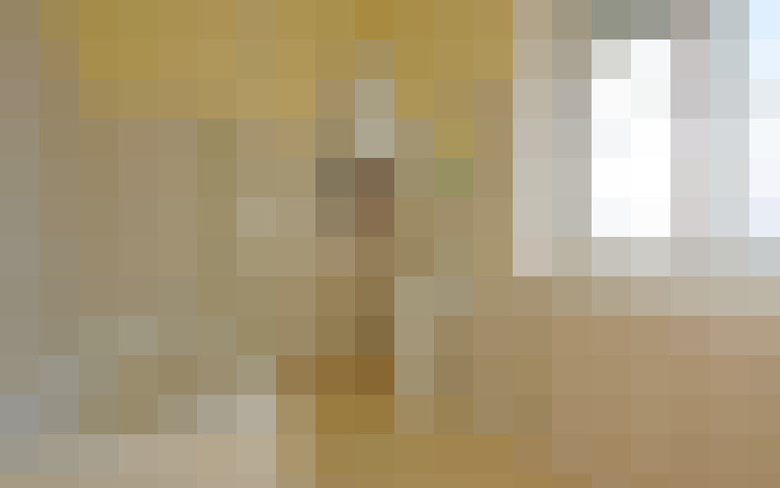  / #17