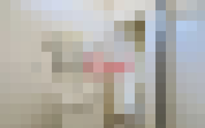 / #17