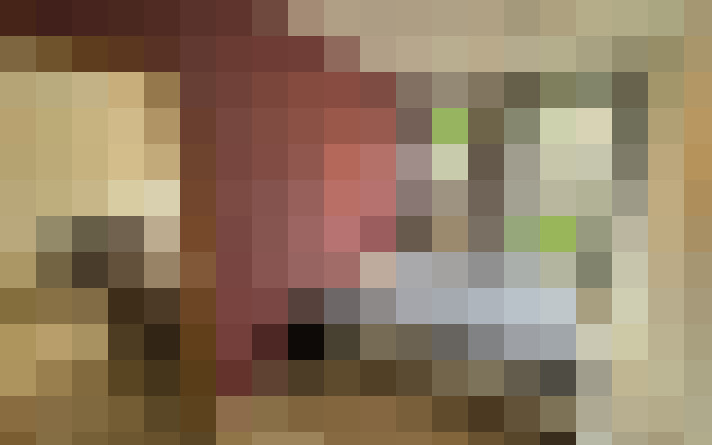  / #15