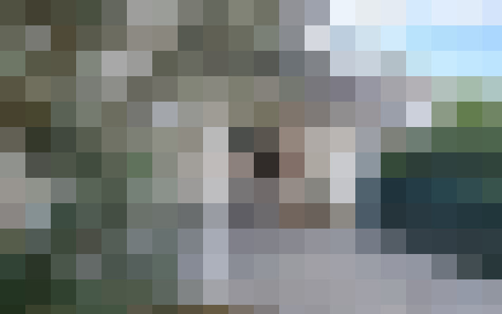  / #15