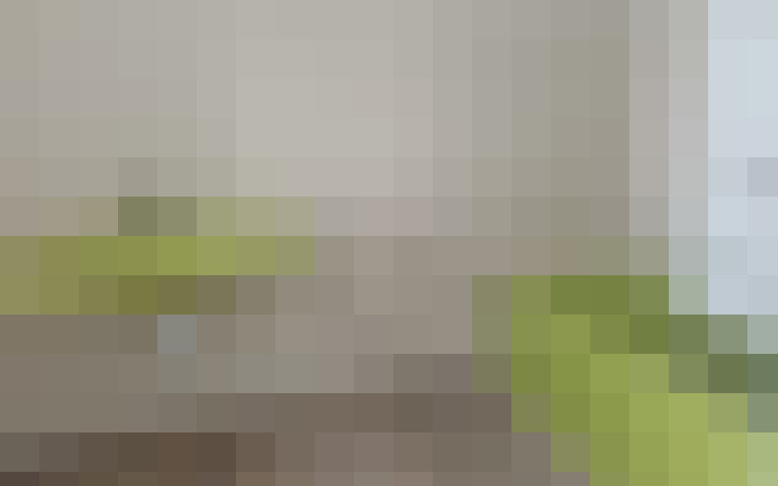  / #7