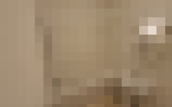  / #15