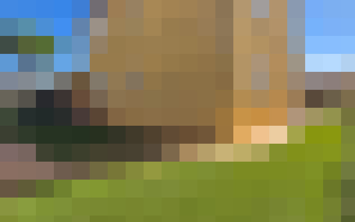  / #19