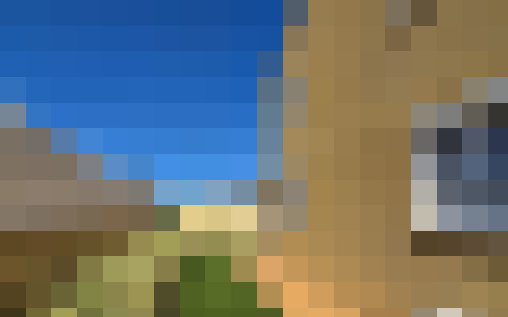  / #15