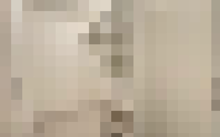  / #19