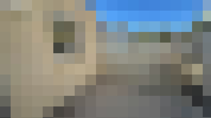  / #11