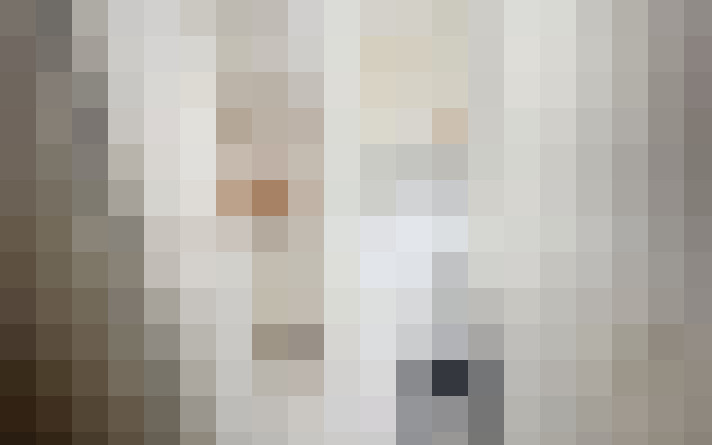  / #17