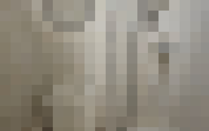  / #15