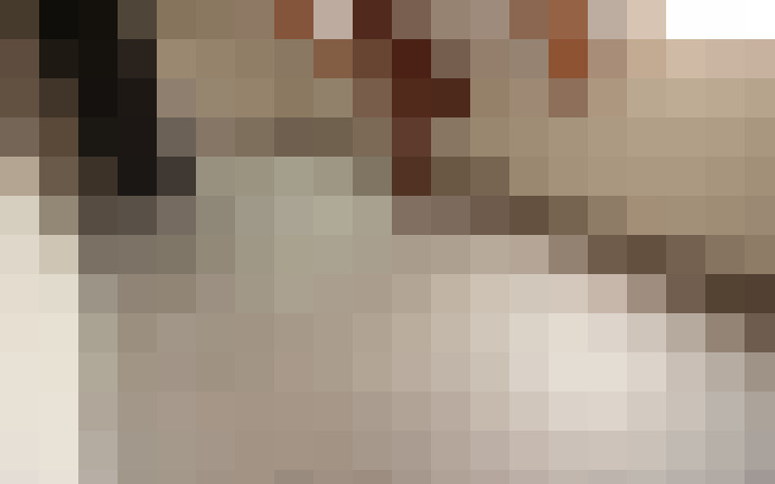  / #15