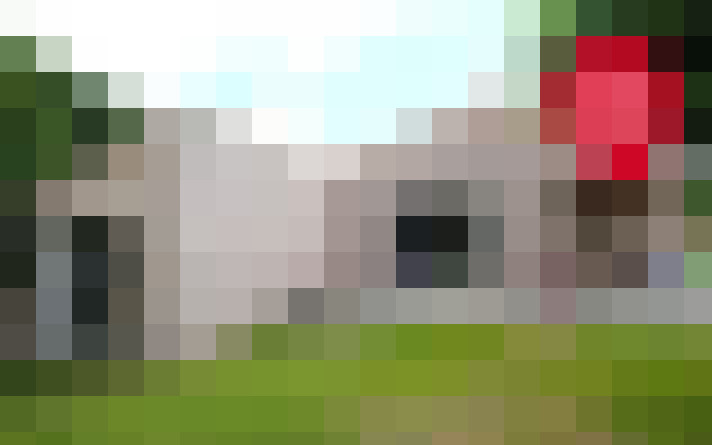  / #15