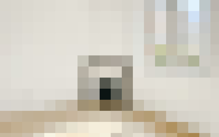  / #15
