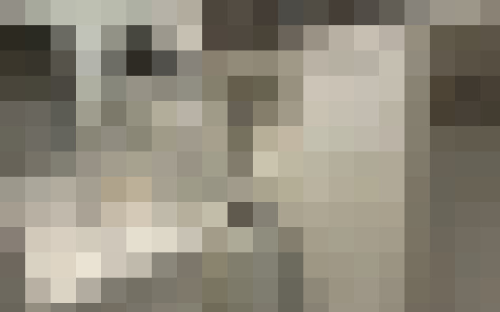  / #29