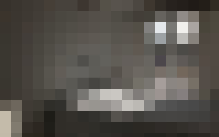  / #21