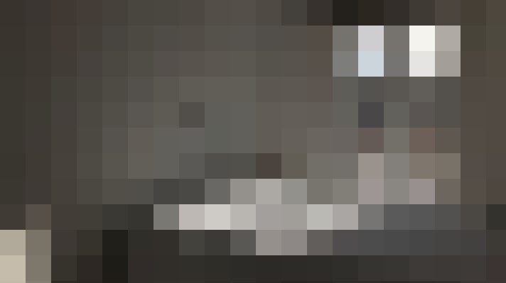  / #22