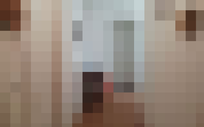 / #15
