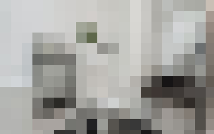  / #13