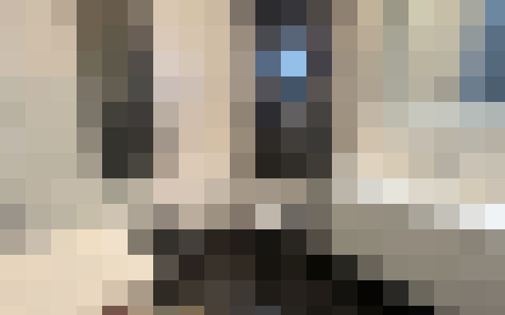  / #11