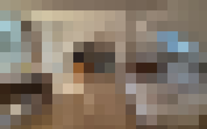  / #11