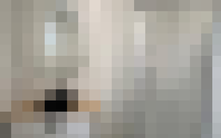  / #31
