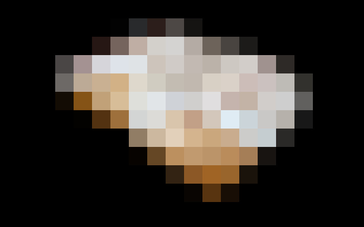  / #15