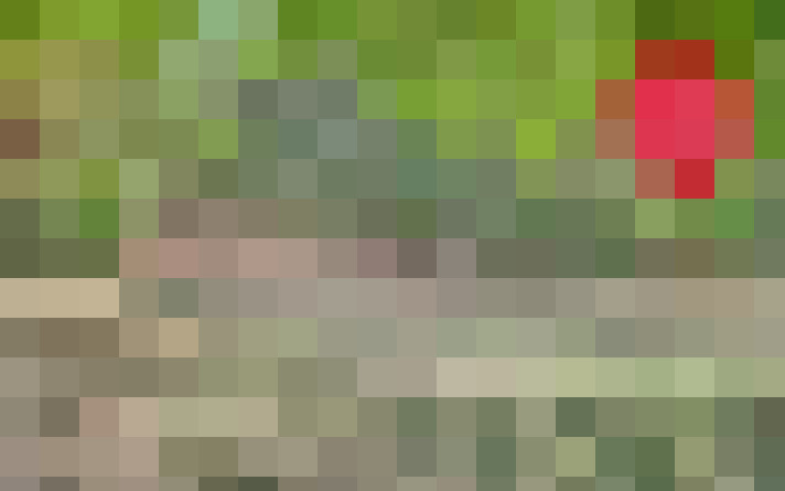 / #15