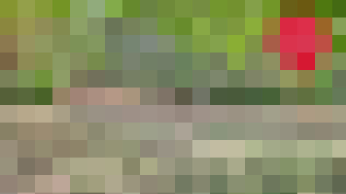  / #16