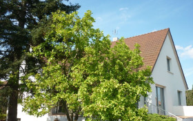 Maison à Longvic