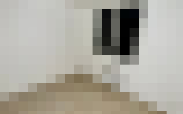  / #11