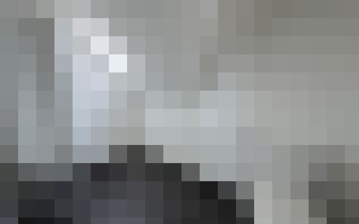  / #19