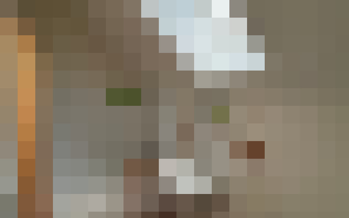  / #7