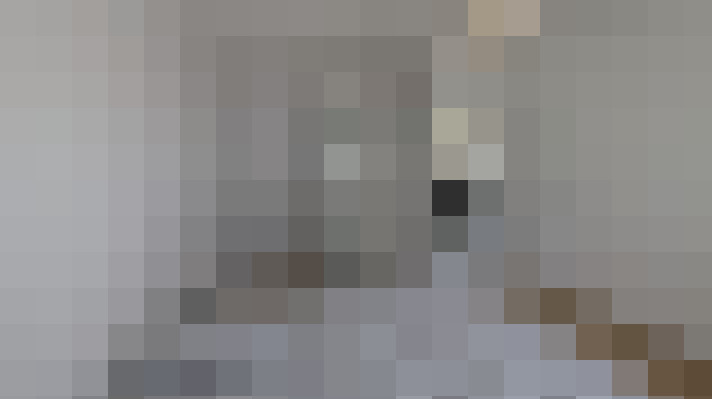 / #12
