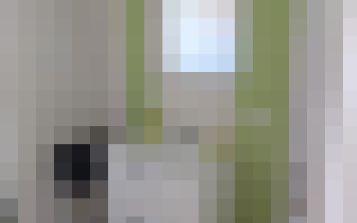  / #15