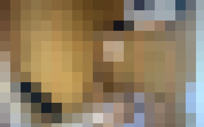  / #19