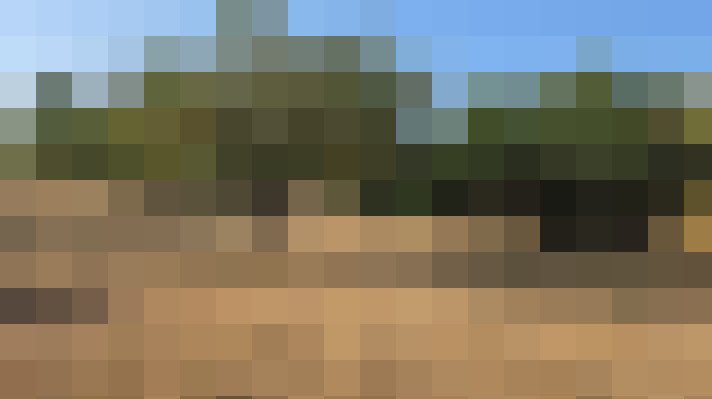  / #13