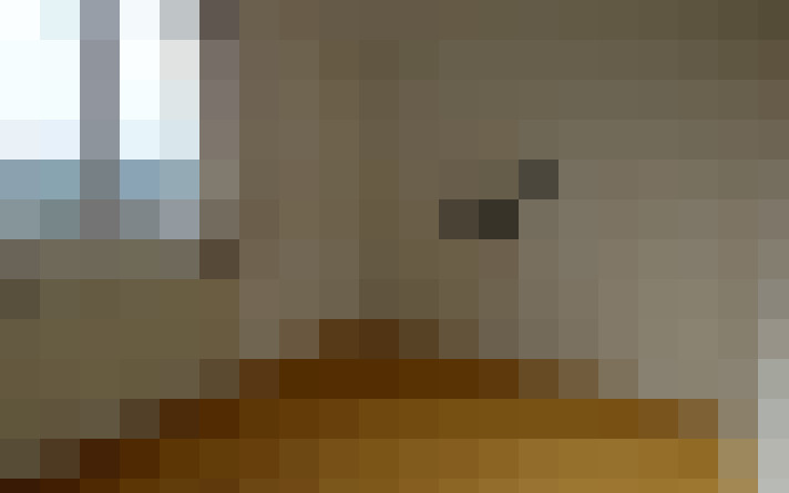  / #11