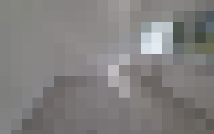  / #17