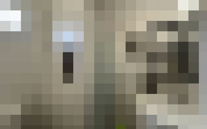  / #11