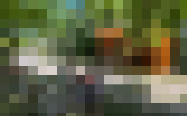  / #31
