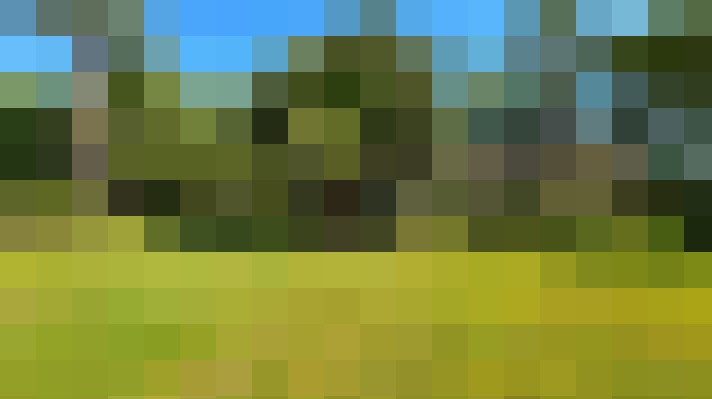  / #13