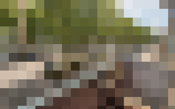  / #17