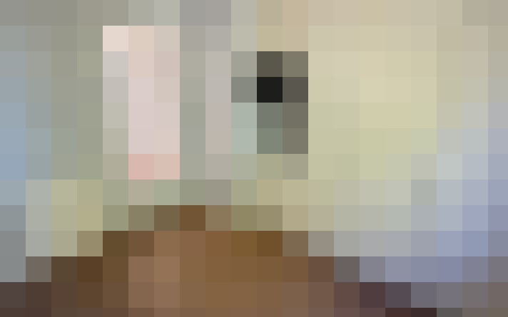  / #15