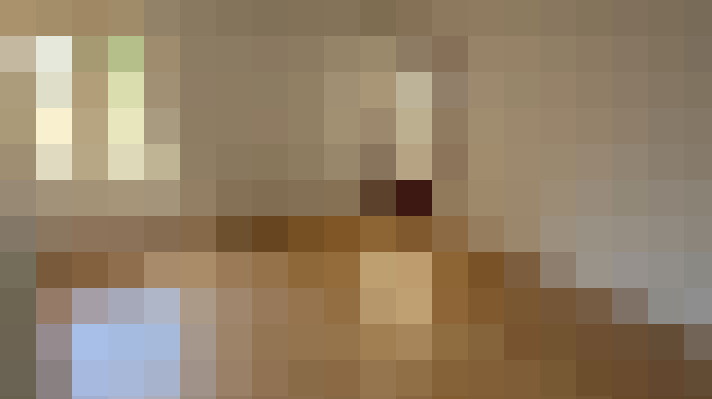  / #20