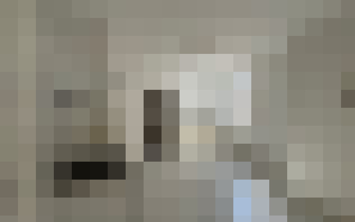  / #19