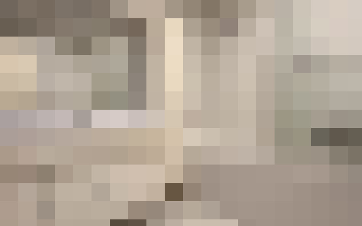  / #19